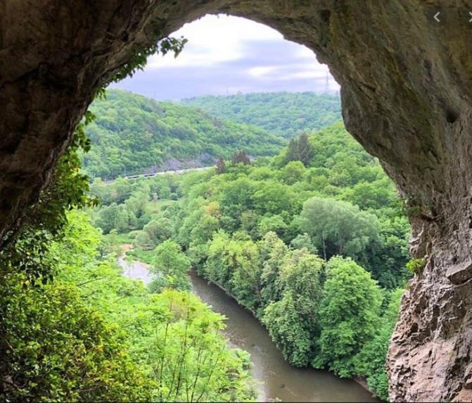 Maison Et Velos A Godinne Dans La Vallee De La Meuse エクステリア 写真